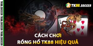 Cách chơi Rồng Hổ TK88 hiệu quả