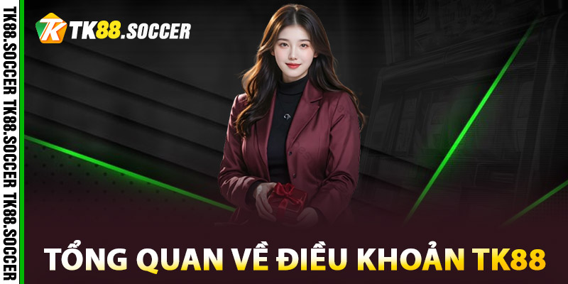 Tổng quan về điều khoản TK88